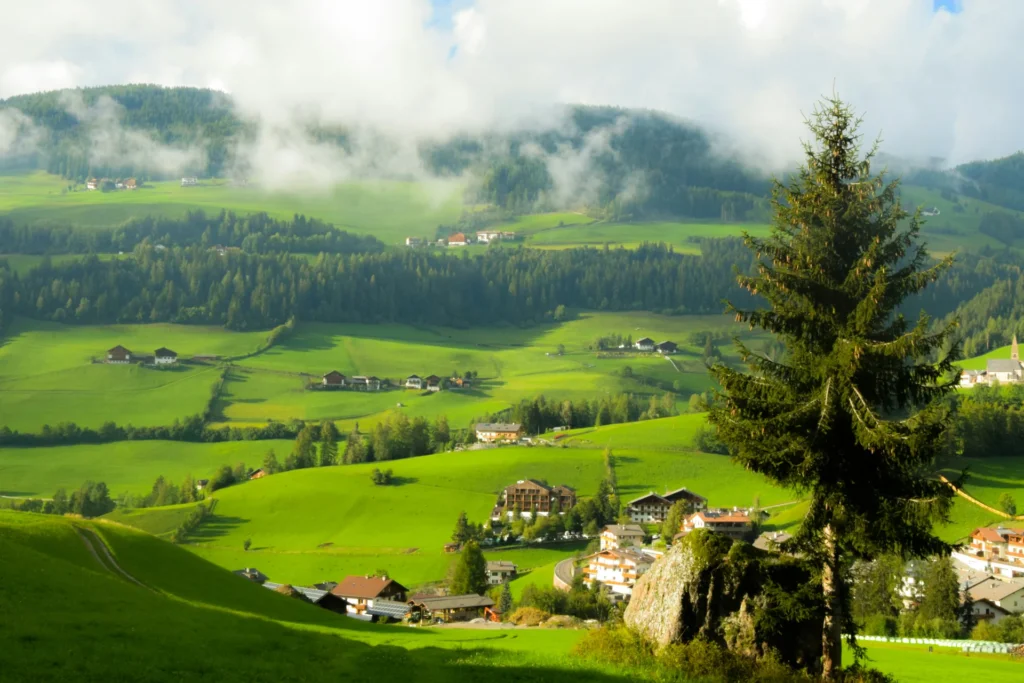 Europe Fulfillment